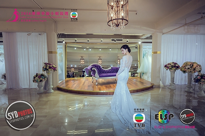 Photographers Portfolios